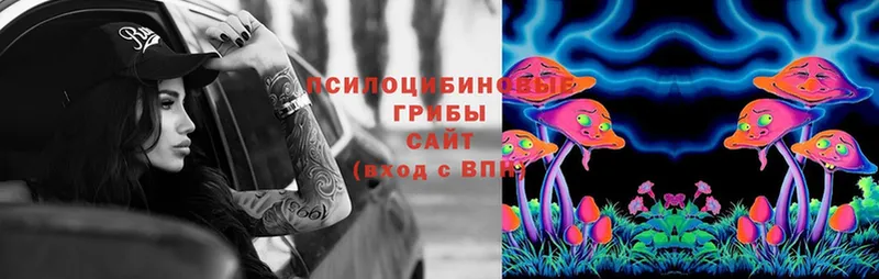 Галлюциногенные грибы Psilocybine cubensis  Ладушкин 